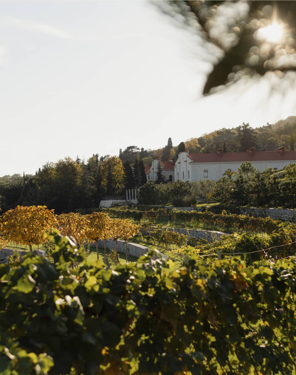 Коллекция вин