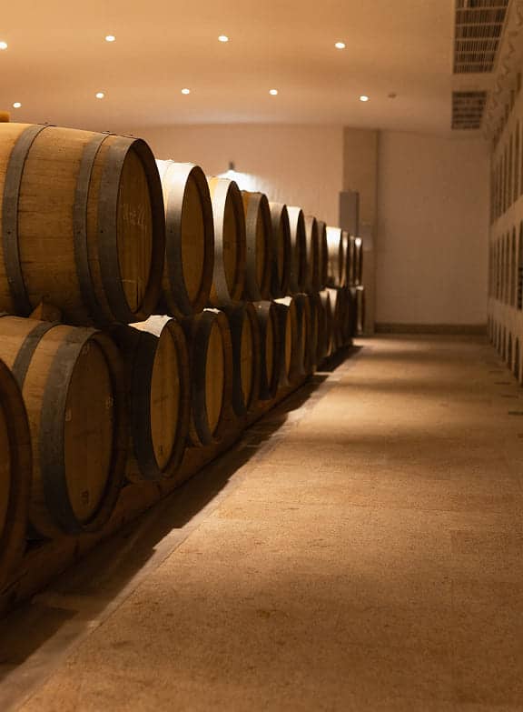 Выдержка во французских барриках